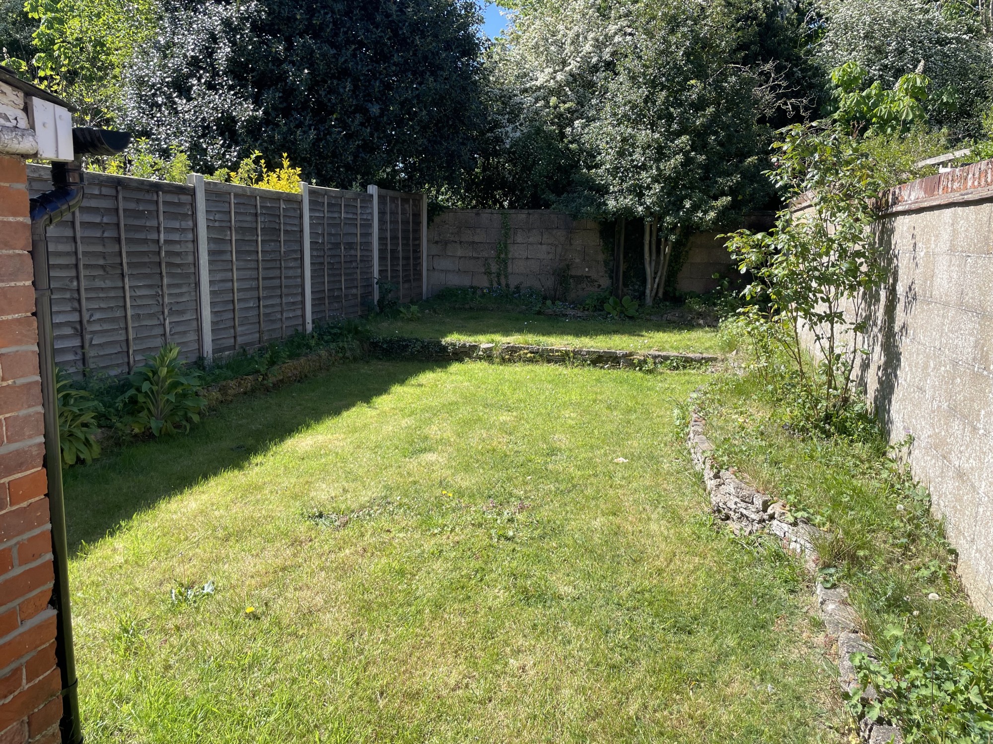 Back Garden