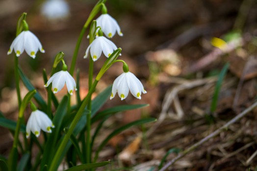 Spring clean to sell your house